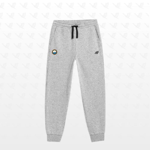 SPODNIE BAWEŁNIANE 4F SZARE JUNIOR – 122